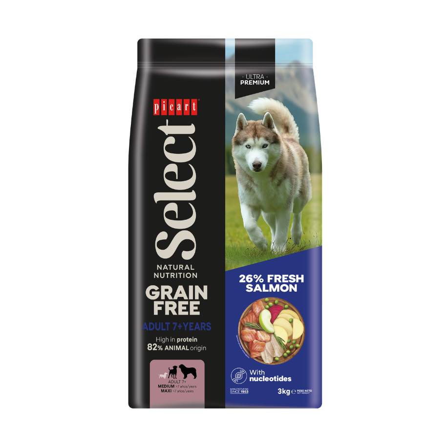 Picart Select ADULT 7+ YEARS GRAIN FREE Salmon
