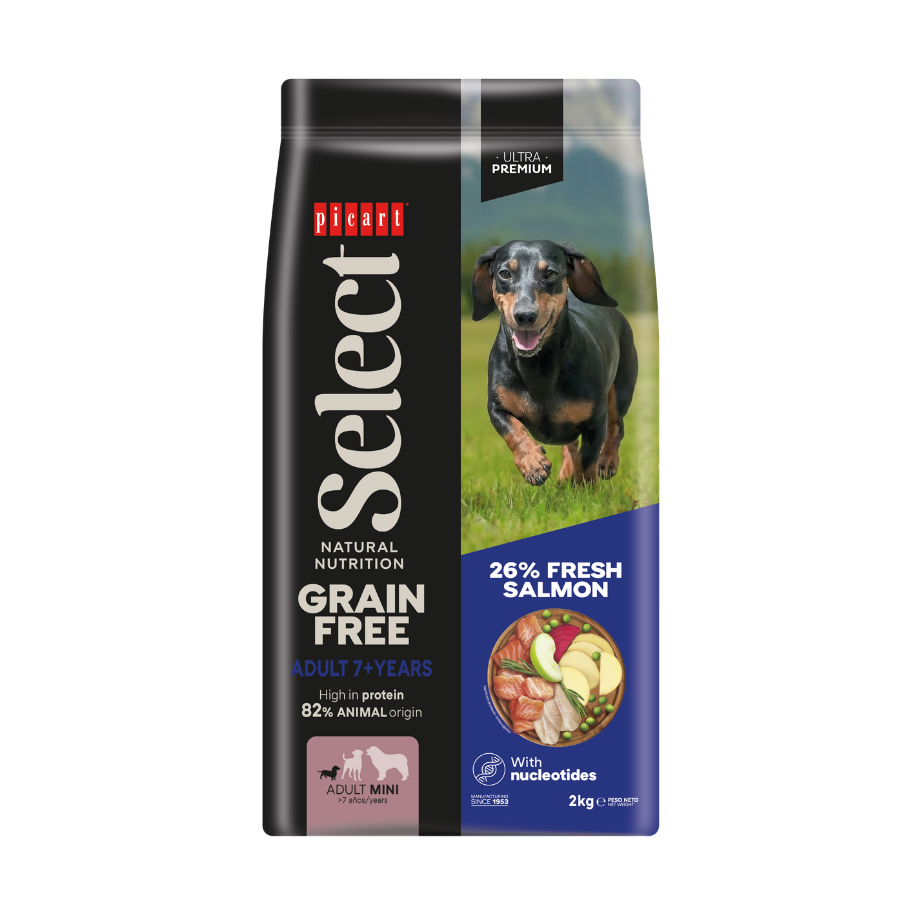 Picart Select ADULT MINI +7 YEARS GRAIN FREE Salmon