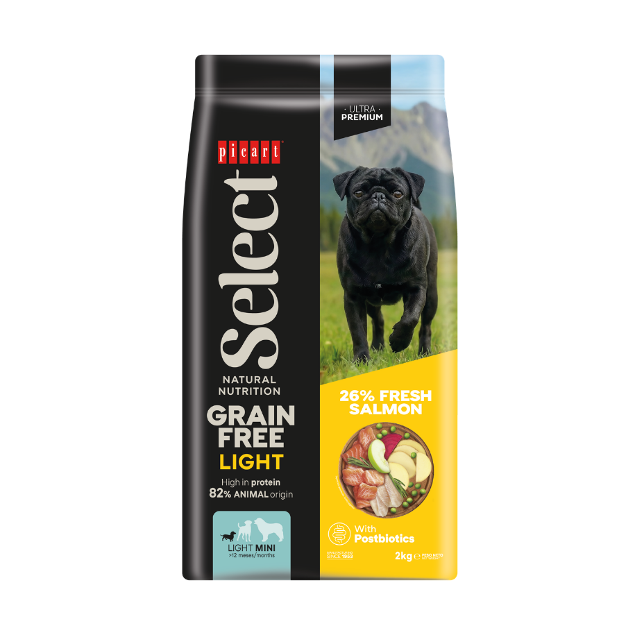 Picart Select ADULT MINI LIGHT GRAIN FREE Salmon
