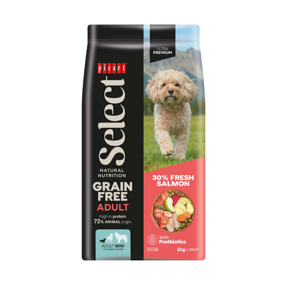 Picart Select ADULT MINI GRAIN FREE Salmon