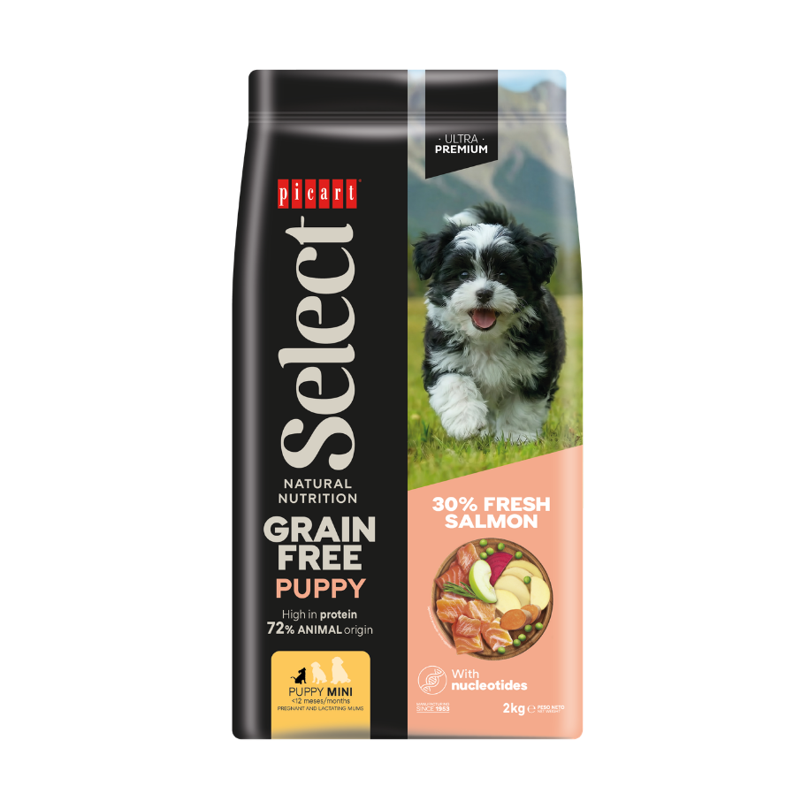 Picart Select PUPPY MINI GRAIN FREE Salmon