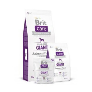 BRIT CARE GRAIN FREE GIANT SALMON & POTATO 12 kg