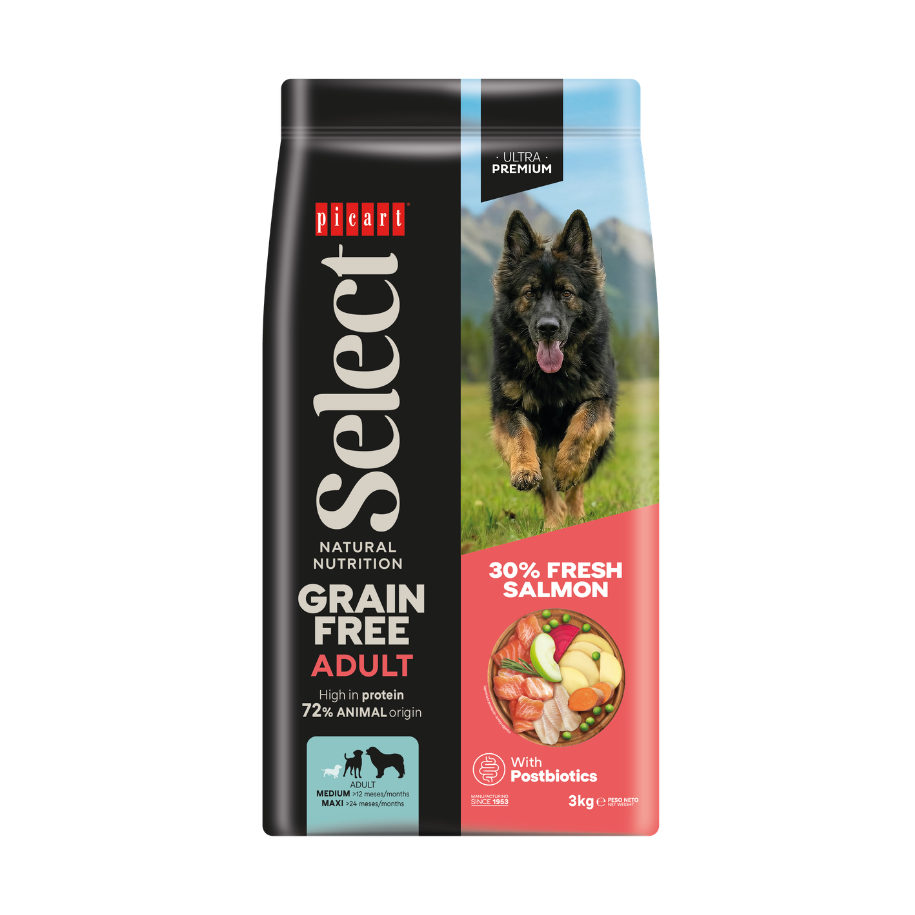 Picart Select ADULT GRAIN FREE Salmon 3 kg