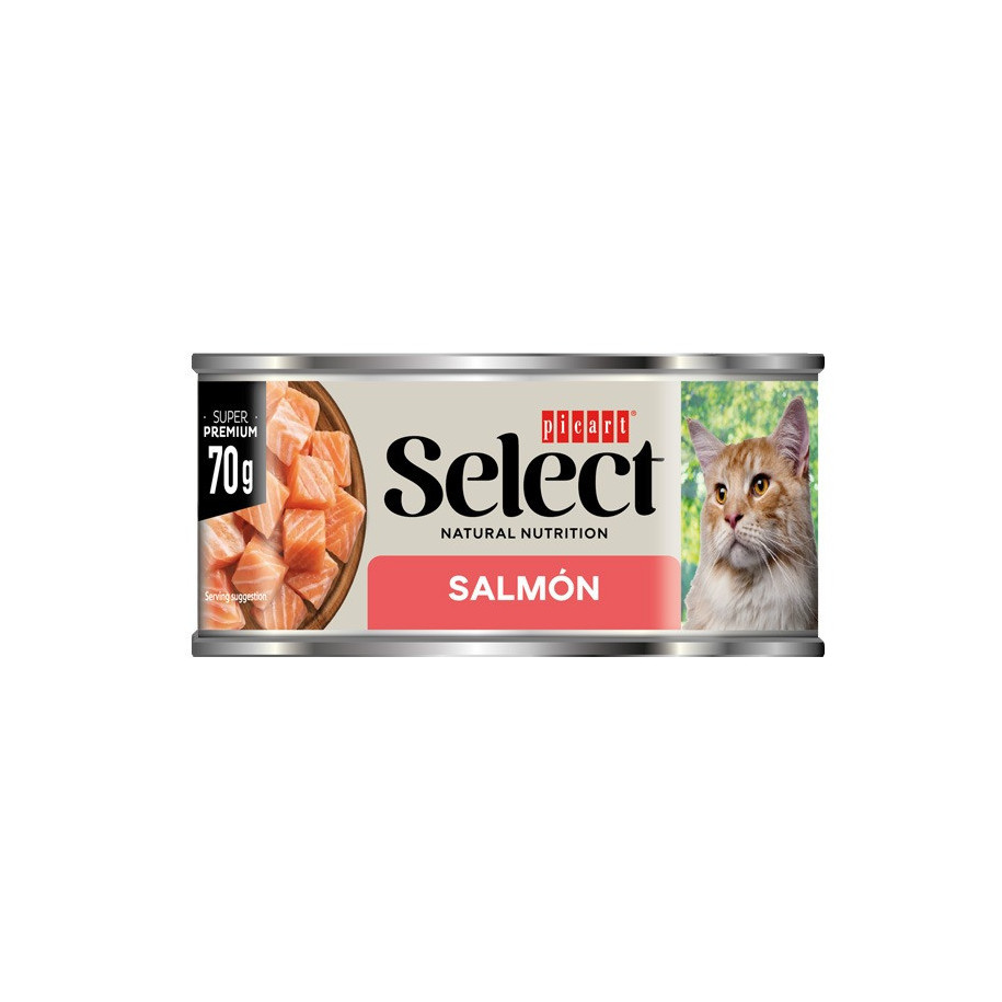 Picart Select Cat Wet ADULT z łososiem 70g