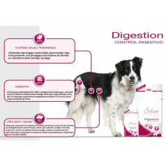 PICART Select Veterinary Diets Digestion