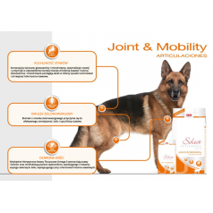 PICART Select Veterinary Diets Joint & Mobility