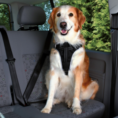 Trixie Szelki samochodowe Dog Protect Friends on Tour S-XL