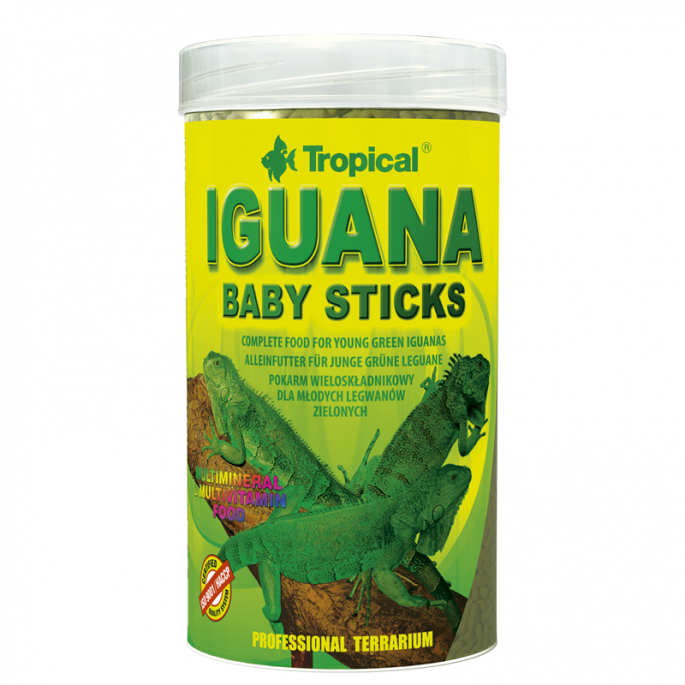 Tropical Iguana Baby Sticks
