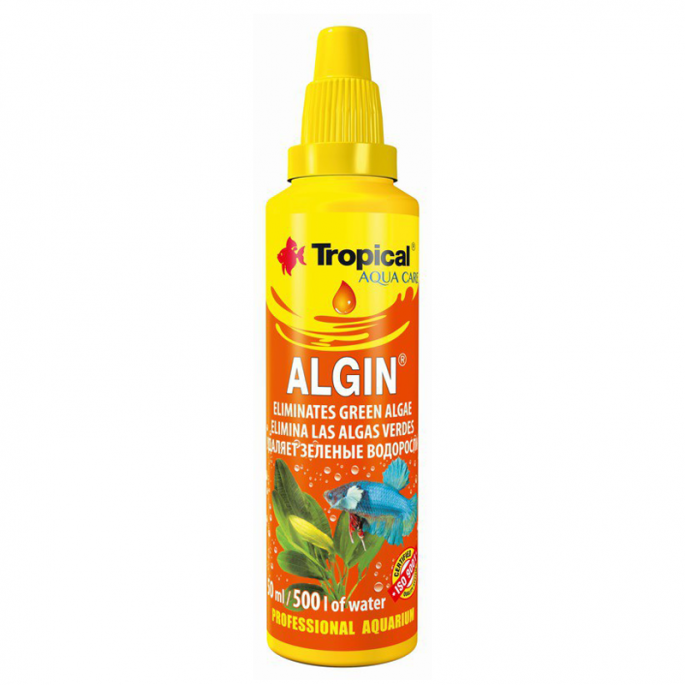 Tropical Algin 