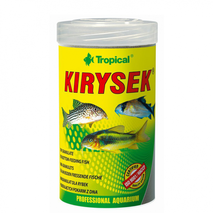 Tropical Kirysek