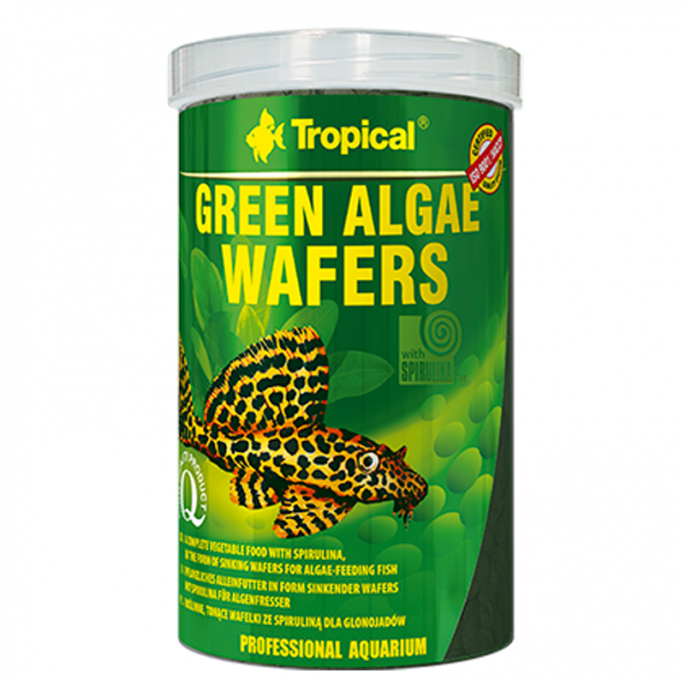  Tropical Green Algae Wafers