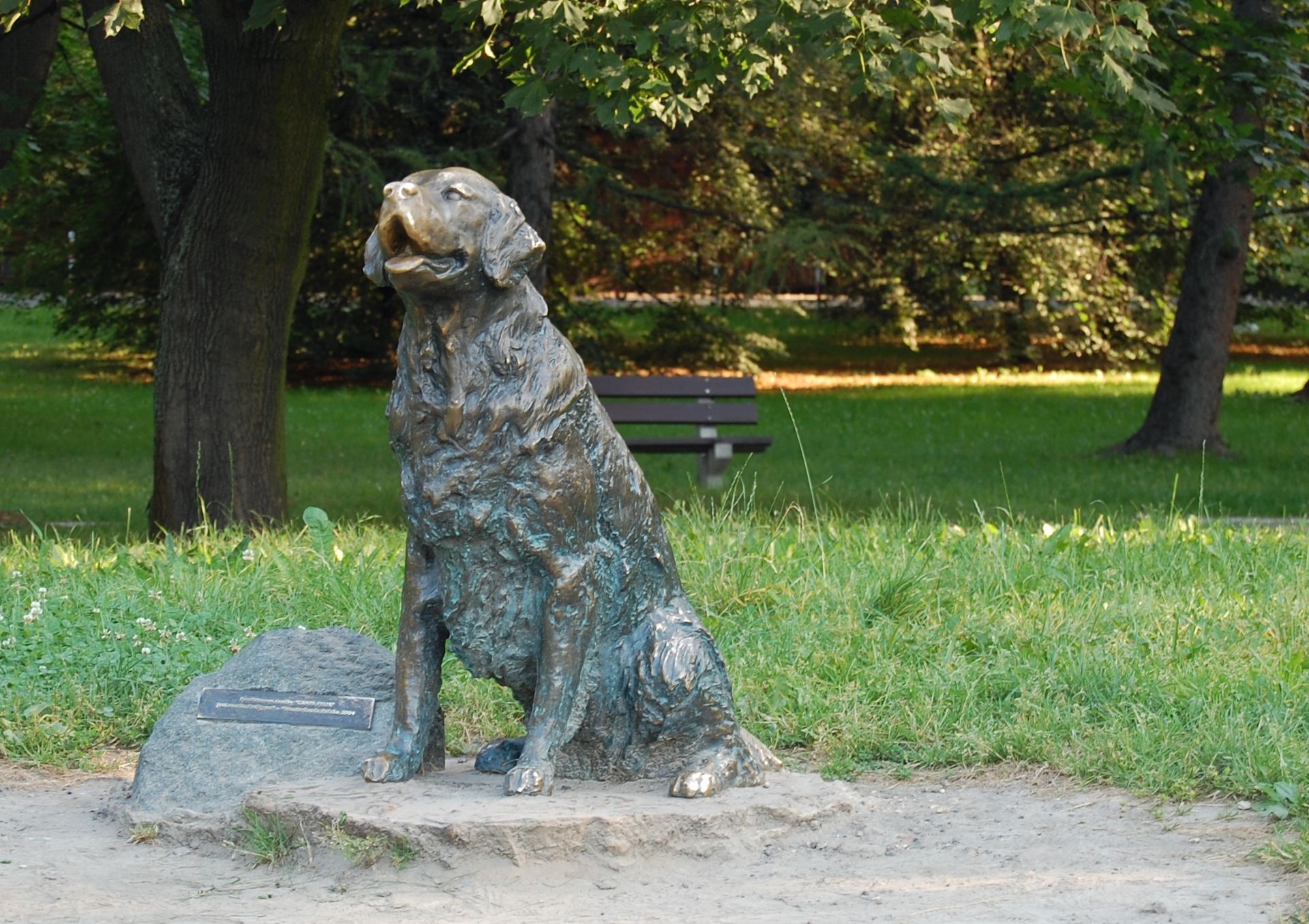 Psi Pomnik w Warszawie