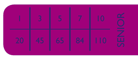 Brit Premium Senior Small tabela dawkowania