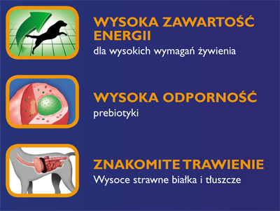 Brit Premium Sport ikony